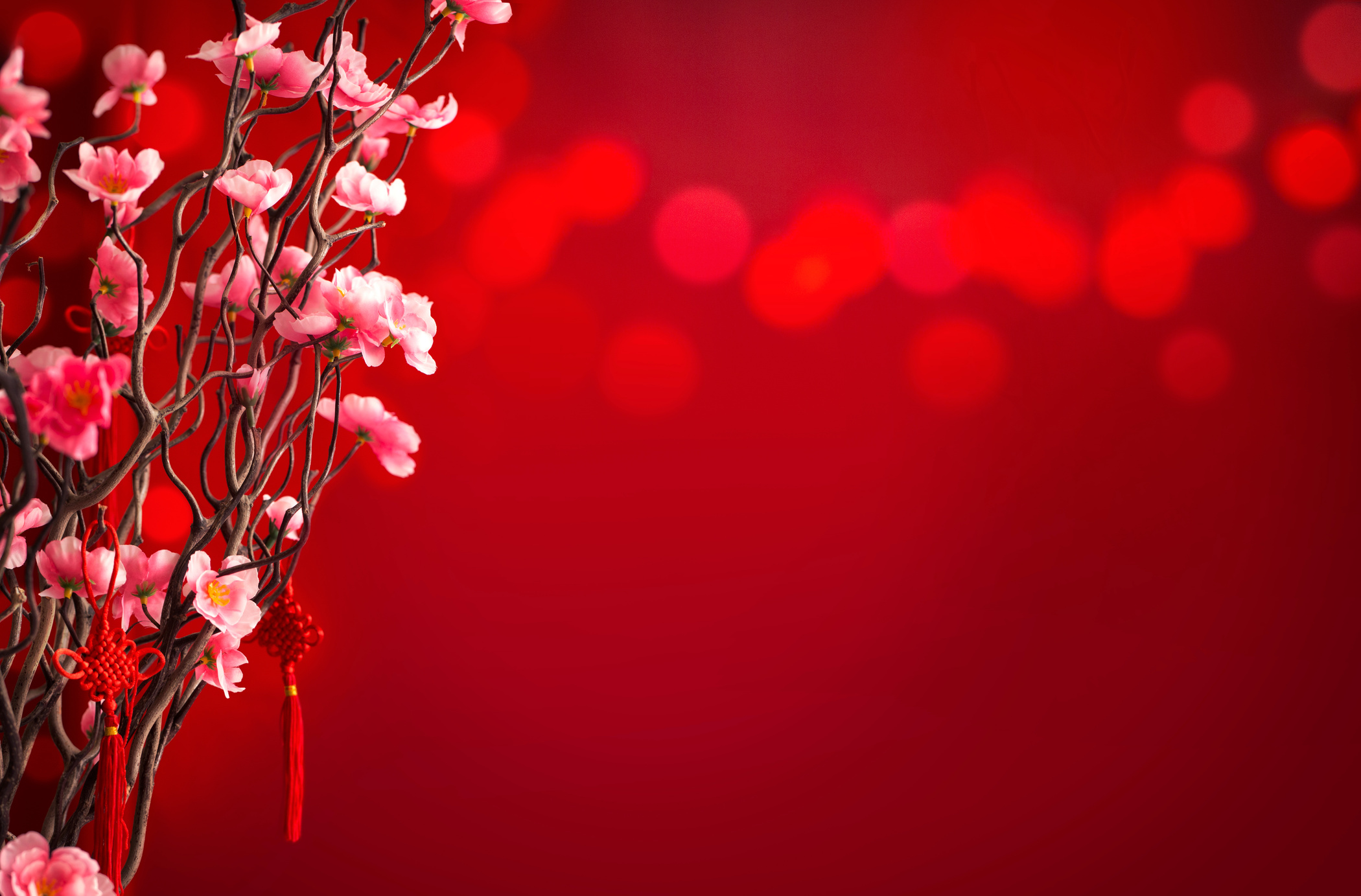 Chinese lunar new year decorations