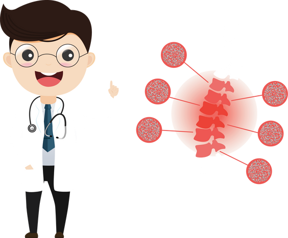 Doctor osteoporosis, doctor examining human spine skeleton.